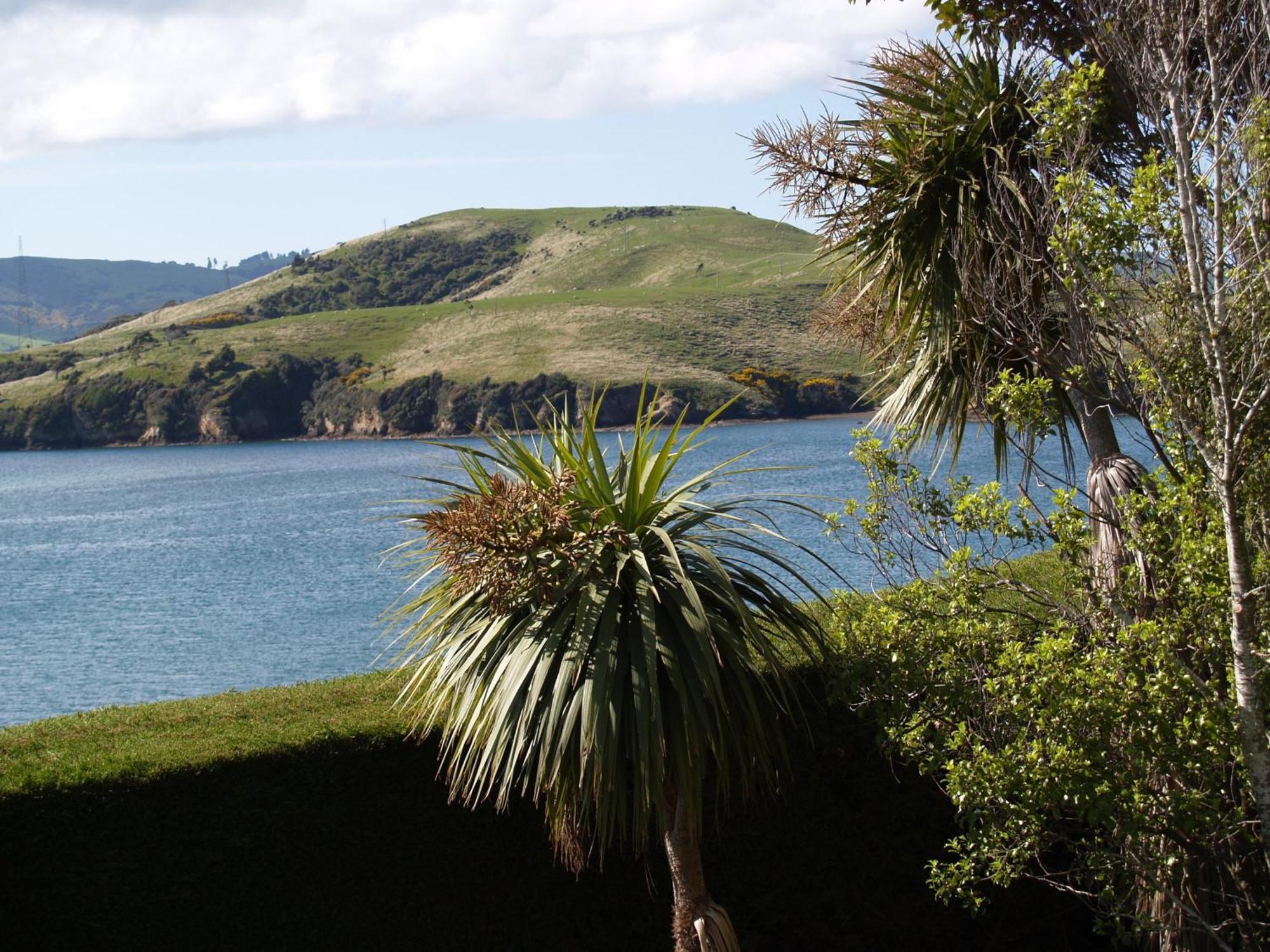 Captain Eady'S Lookout Bed & Breakfast Portobello Exterior photo